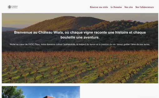 Vignoble du Château Wiala au coucher du soleil, vignoble bio, production de vin authentique en Côte d'Azur. Avis client, site créer par web by Damien, chateau Wiala.