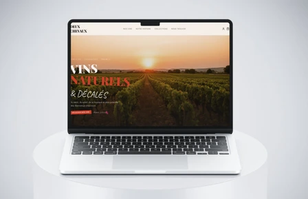 Site web affiché sur ordinateur, tablette et mobile avec maison moderne, site internet sur mesure